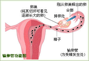 宝鸡不孕不育医院治疗输卵管不孕是怎么治的