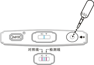 早孕试纸早什么时候用