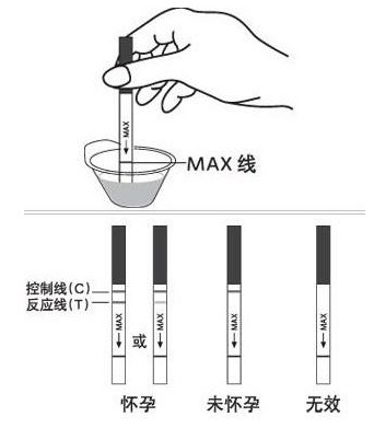 试孕纸