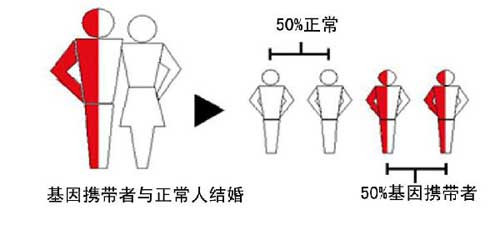 宝鸡孕妈妈咨询：做地贫血筛查有问题能把孩子生下来吗