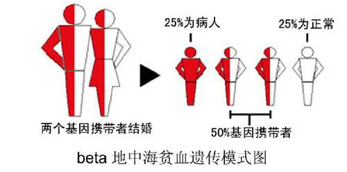 宝鸡孕妈妈咨询：做地贫血筛查有问题能把孩子生下来吗