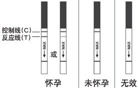 早孕症状自我诊断